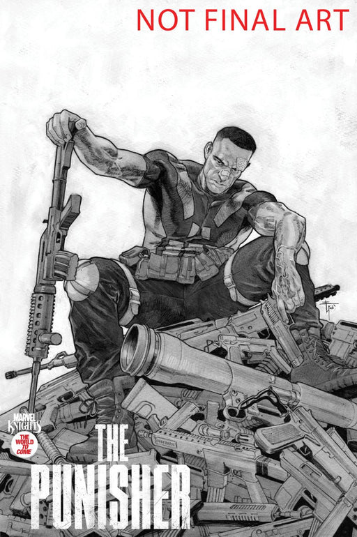 MARVEL KNIGHTS PUNISHER #2 FRANCESCO MOBILI VAR CVR B