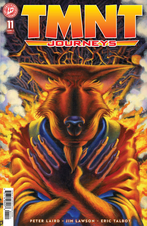 TMNT JOURNEYS #11 COVER A DOONEY AND LAWSON CVR A