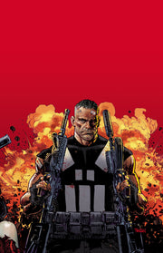 MARVEL KNIGHTS PUNISHER TP VOL 01