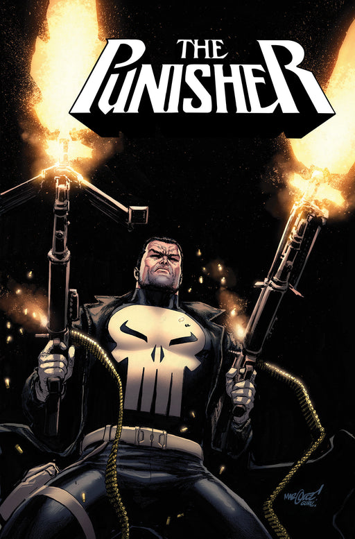PUNISHER TP VOL 01