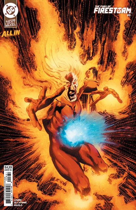 FURY OF FIRESTORM #8 CVR C MIKE PERKINS CARD STOCK VAR (OF 9)